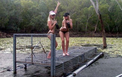 croc-trap-blondes croc-trap-blondes