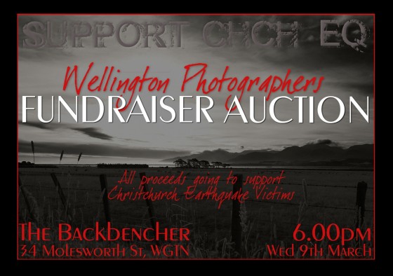 Charity photo auction flyer