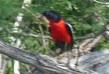P1030946